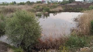 Ankara'da korkunç kaza: 3 ölü 1 yaralı! Cenazeler dereden çıkarıldı