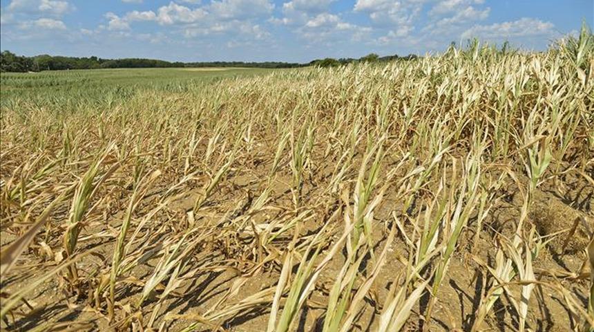 ABD için büyük tehlike! Sıcaklıkla birlikte kuraklık da artıyor