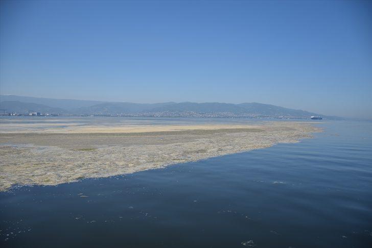 İzmit Körfezi'nde müsilaj temizleme çalışmaları devam ediyor G1