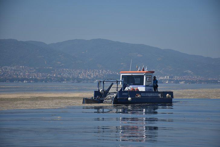 İzmit Körfezi'nde müsilaj temizleme çalışmaları devam ediyor G2