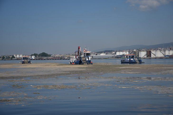 İzmit Körfezi'nde müsilaj temizleme çalışmaları devam ediyor G3