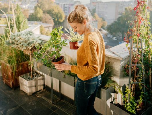 Balkon ve bahçelerini yenileyecekler için dekorasyon önerileri