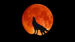 Saçma gelse de çoğu kişi yapıyor! Popüler 10 batıl inanç