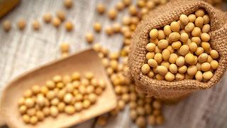 Böbrek taşı oluşumunu önlemek için ne yapmalı? Bu besinleri tüketirken dikkat!