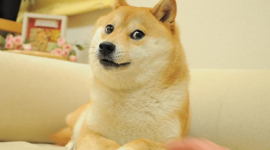 Doge meme'i NFT olarak satışa çıktı!