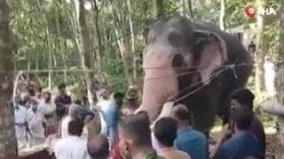 Ölen bakıcısını son kez görmek için kilometrelerce yol yürüdü