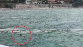 Bursa'da müsilaj can alıyordu