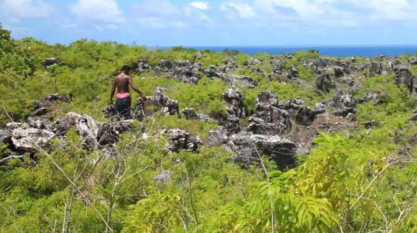 Zengin &uuml;lkelerin s&ouml;m&uuml;rd&uuml;ğ&uuml; Banaba adasında i&ccedil;me suyu kalmadı
