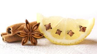 Paranız cebinizde kalsın: Yaz keyfini zehir eden sinek ve böcekleri doğal yöntemlerle uzaklaştırmak mümkün!