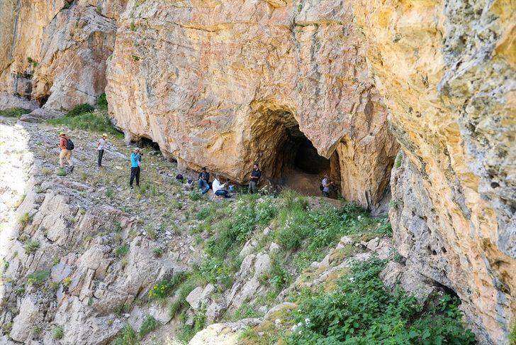 Van'daki Put mağaralarının duvarlarına işlenen kaya resimleri incelenecek G1