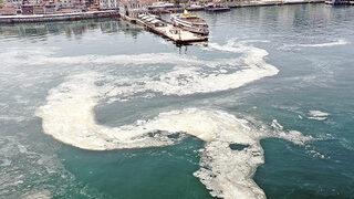 YÖK Başkanı Saraç'tan müsilaj açıklaması