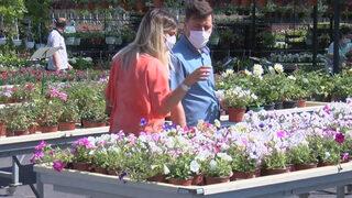 İstanbul'da dört bir yana 1 milyon gül dikilecek! Hazırlıklar başladı