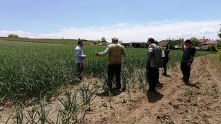 Yol güzergahında sarımsak satışları yasaklandı