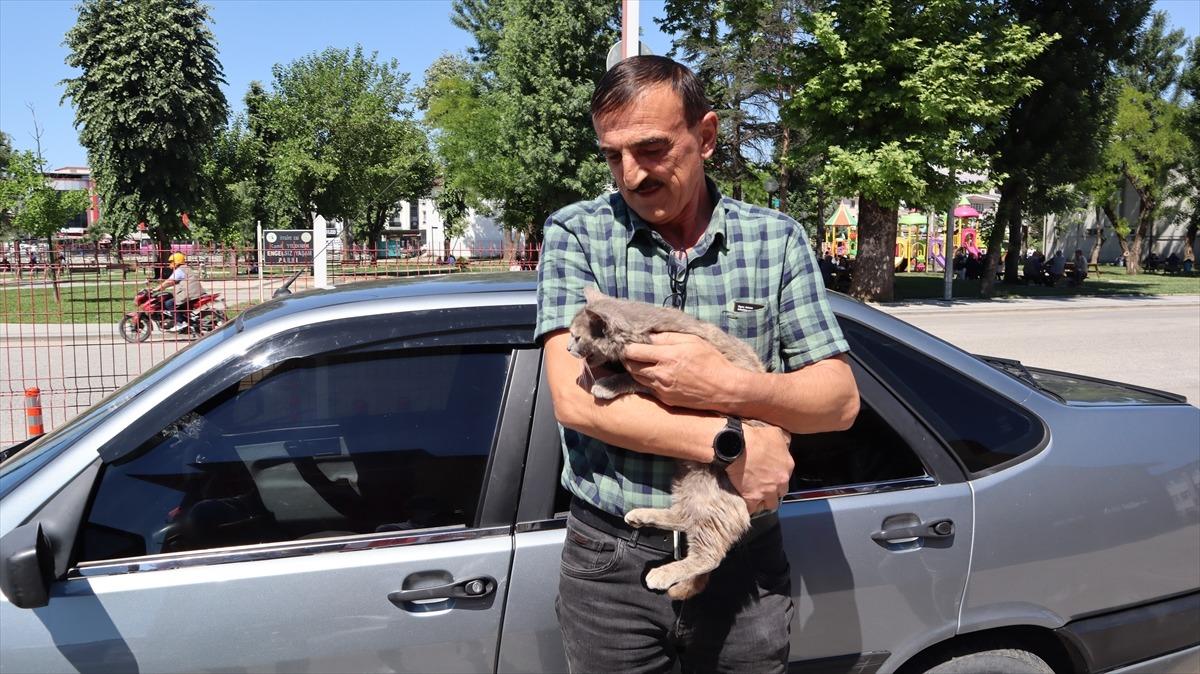 Bolu'da sattıkları aracın motor b&ouml;l&uuml;m&uuml;ne giren kedi yavrusunu D&uuml;zce'de teslim aldılar