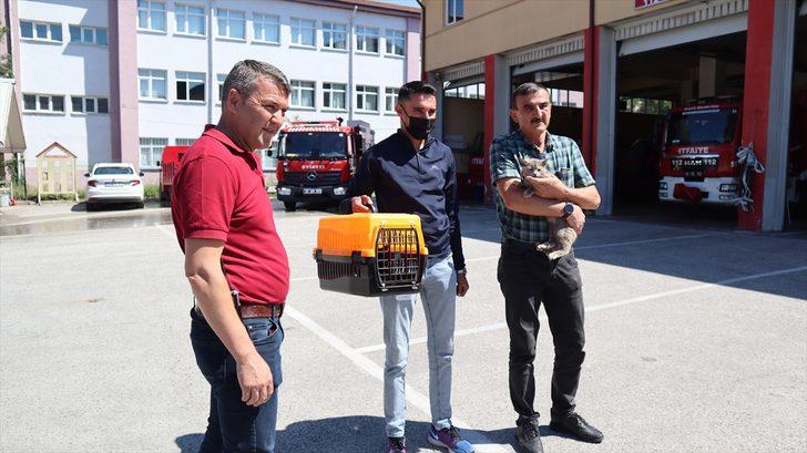 Bolu'da sattıkları aracın motor bölümüne giren kedi yavrusunu Düzce'de teslim aldılar G2