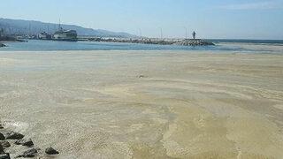 Bakan Kurum temizlenen müsilaj miktarını açıkladı