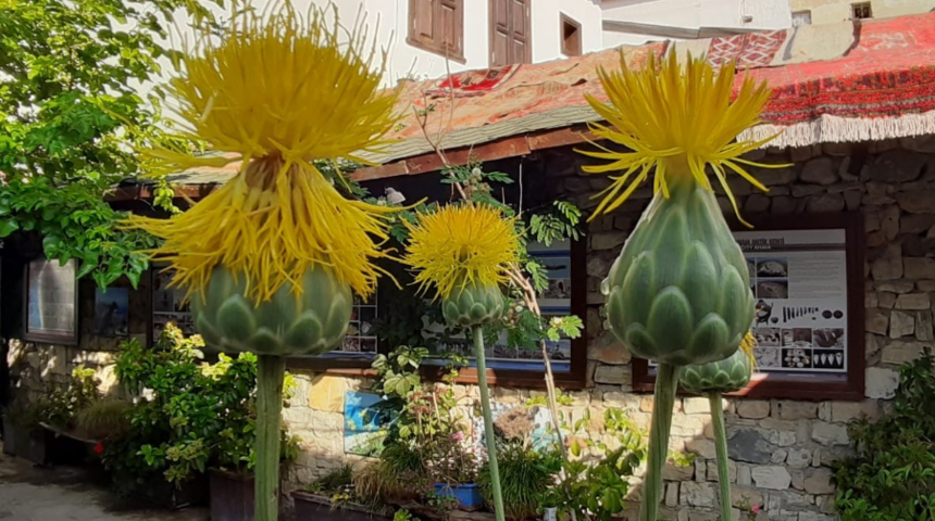 G&ouml;rd&uuml;ğ&uuml;n&uuml;zde dokunmayın bile! Koparan 73 bin 747 lira &ouml;deyecek