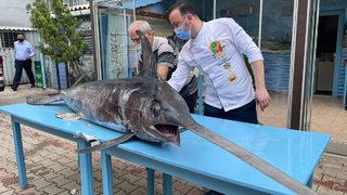 Dev kılıç balığını gören şaşkına döndü