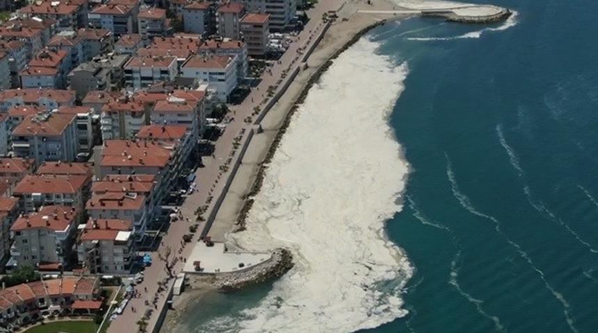 Deniz salyasıyla ilgili ezber bozan iddia! "Ölmüş ve erimiş denizanaları"