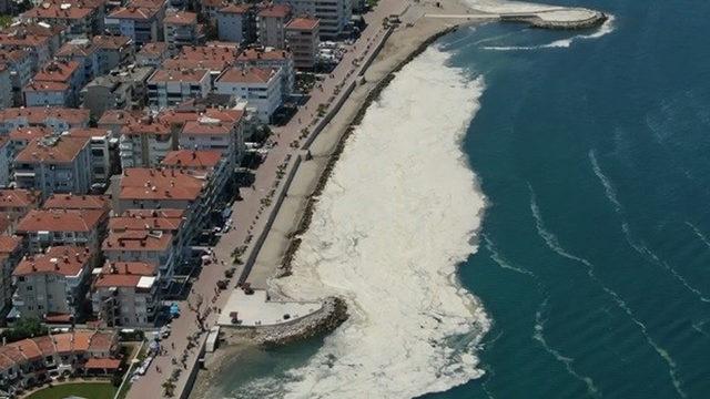 Deniz salyasıyla ilgili ezber bozan iddia! Ölmüş ve erimiş denizanaları