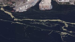 Marmara Denizi'ndeki müsilaj kabusu uzaydan görüntülendi