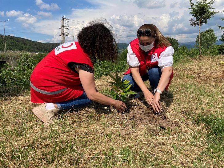 Düzce'de Kızılayın kuruluşunun 153. yılı anısına hatıra ormanı oluşturuldu G1