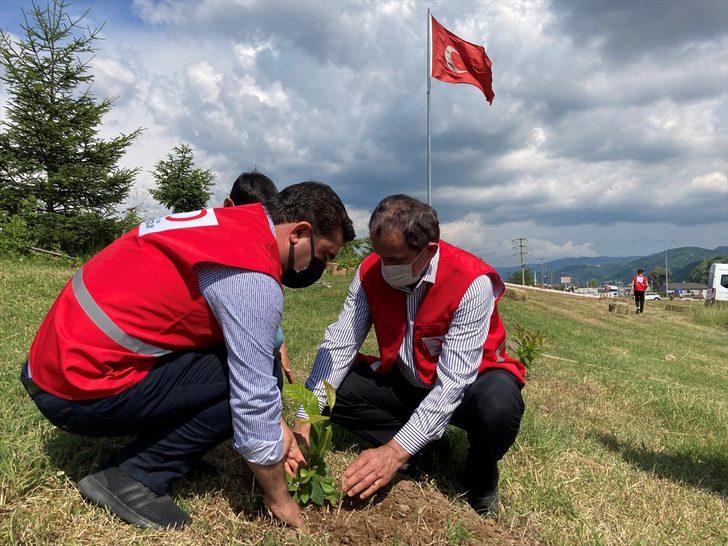 Düzce'de Kızılayın kuruluşunun 153. yılı anısına hatıra ormanı oluşturuldu G2