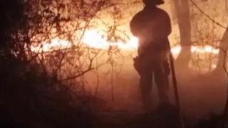 Eskişehir’de ormana düşen yıldırım yangına neden oldu