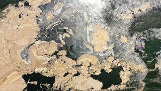 Müsilaja yönelik Meclis Araştırma Komisyonu kurulması kararı Resmi Gazete'de