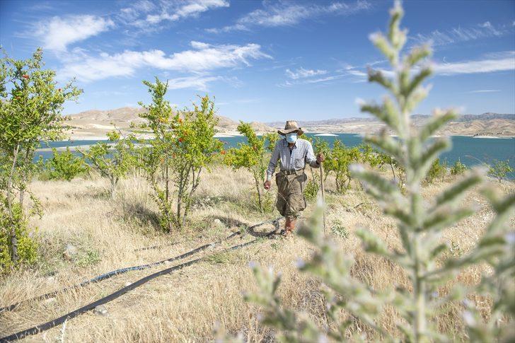 'Robinson Ziya'nın Keban Baraj Gölü'ndeki adada huzurlu yaşamı! Diktiği ağaçların sayısı 4 bine ulaştı G3