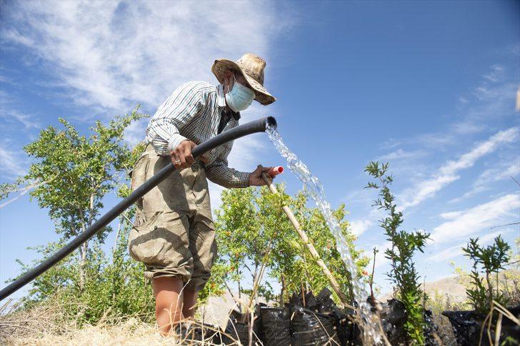 'Robinson Ziya'nın Keban Baraj Gölü'ndeki adada huzurlu yaşamı! Diktiği ağaçların sayısı 4 bine ulaştı G4
