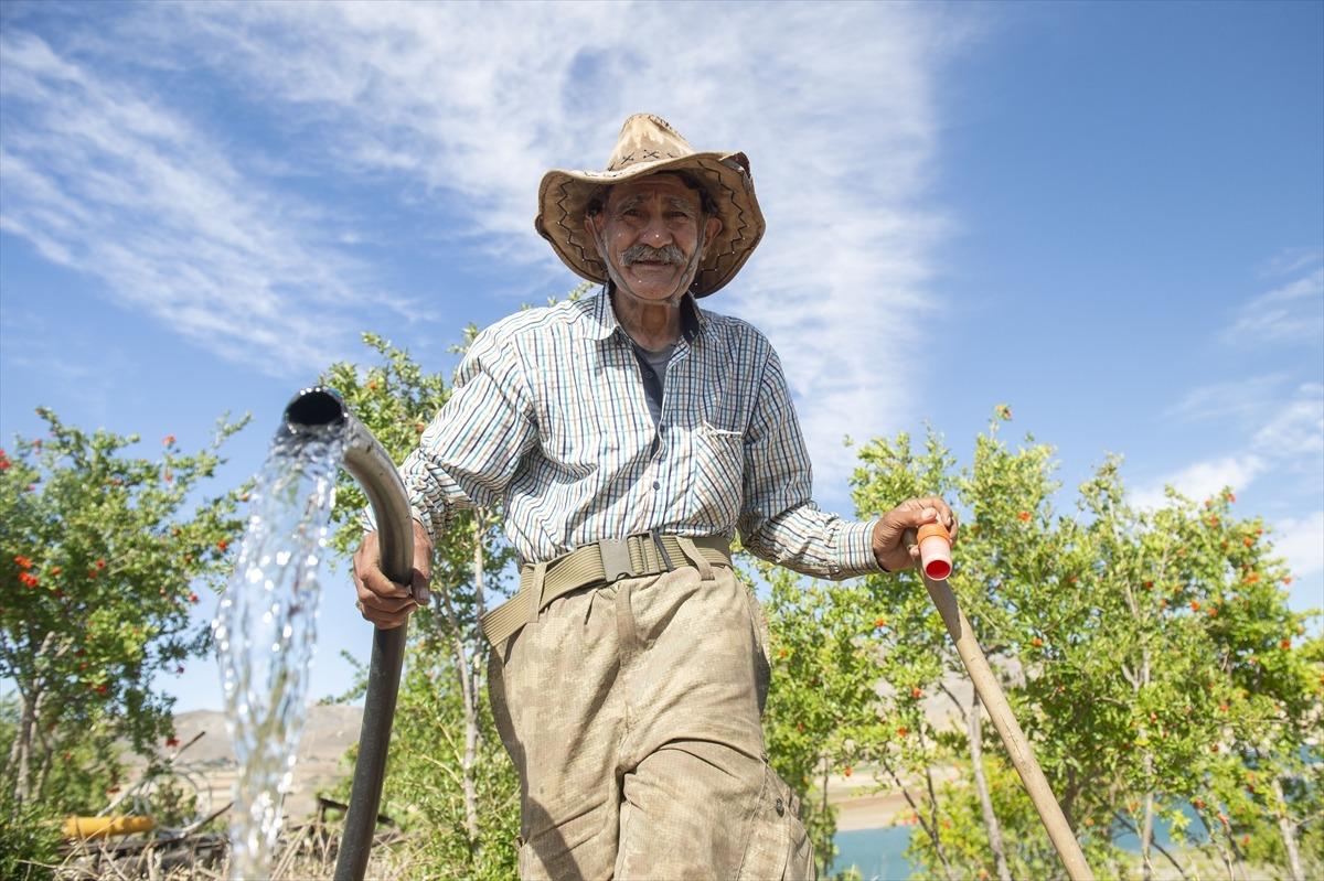 'Robinson Ziya'nın Keban Baraj G&ouml;l&uuml;'ndeki adada huzurlu yaşamı! Diktiği ağa&ccedil;ların sayısı 4 bine ulaştı