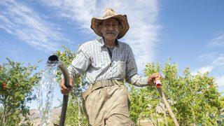 'Robinson Ziya'nın Keban Baraj Gölü'ndeki adada huzurlu yaşamı! Diktiği ağaçların sayısı 4 bine ulaştı