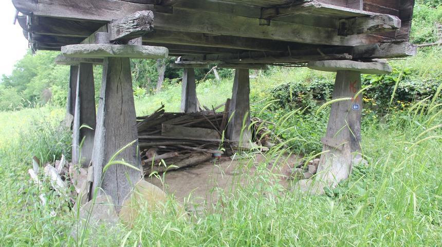 Direklerin üzerinde duruyor! Karadeniz'in mühendislik harikası: Serender