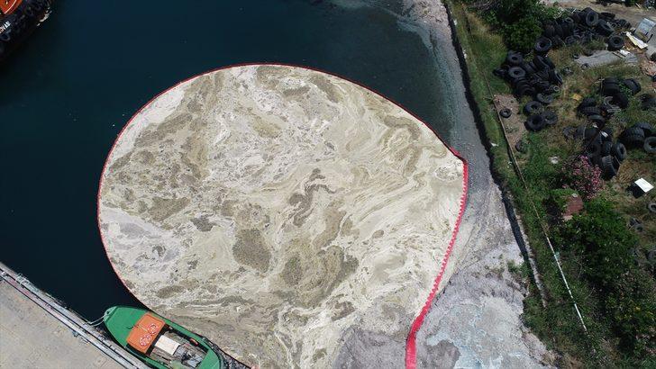 Tekirdağ'da kıyıda biriken müsilajı temizleme çalışmaları sürüyor G3