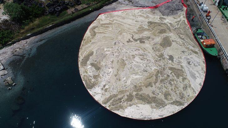 Tekirdağ'da kıyıda biriken müsilajı temizleme çalışmaları sürüyor G4