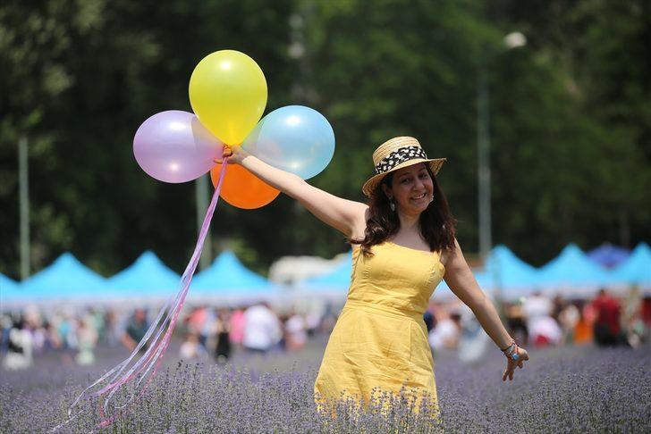 Edirne'de lavanta tarlaları fotoğraf stüdyolarını aratmıyor G1