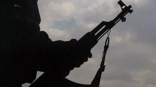 Ağrı'da 1 terörist etkisiz hale getirildi