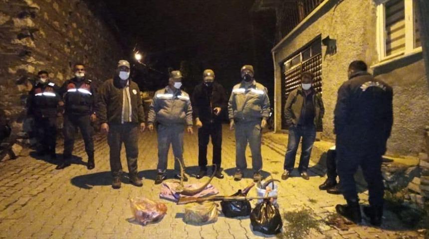 Konya'da 4 yaban keçisini avlayan 3 kişiye 120 bin lira ceza