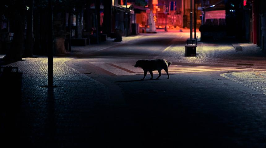 Pazar gününün tamamını kapsayacak olan sokağa çıkma kısıtlaması başladı