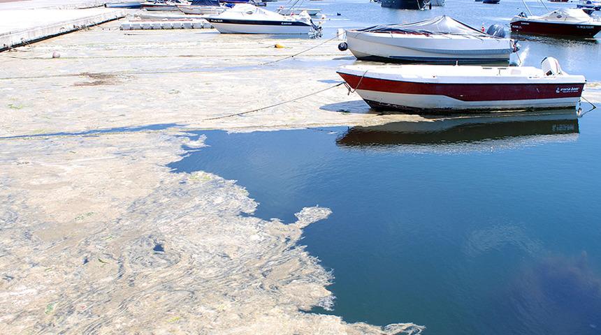 Marmara Denizi Eylem Planı Koordinasyon Kurulu kuruldu