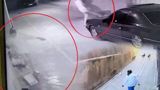 Ankara'da köpeklere eziyet eden akademisyene dava