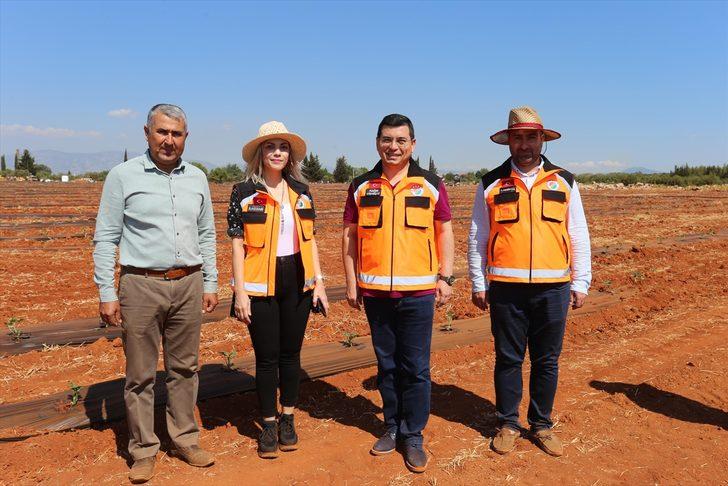 Antalya'da belediyenin tarlaya dönüştürdüğü alanda karpuz, kavun yetiştirilecek G2