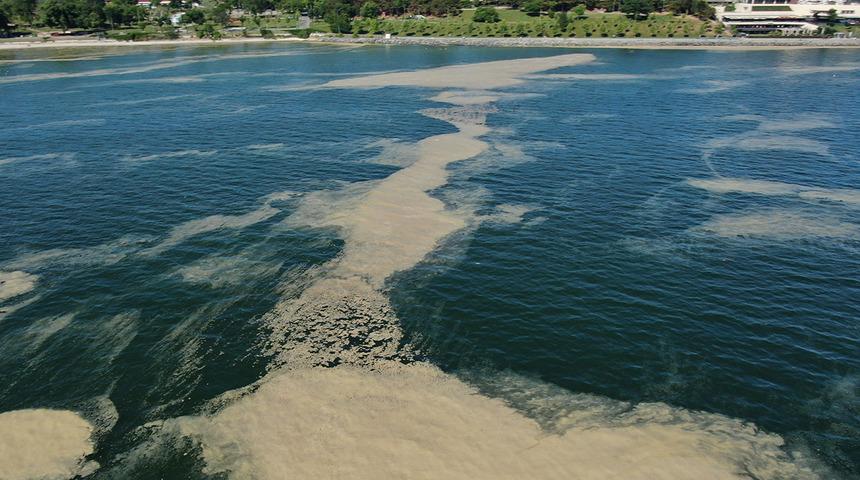 Bu kez Bakırköy sahiline vurdu! İstanbul'da müsilaj kabusu devam ediyor