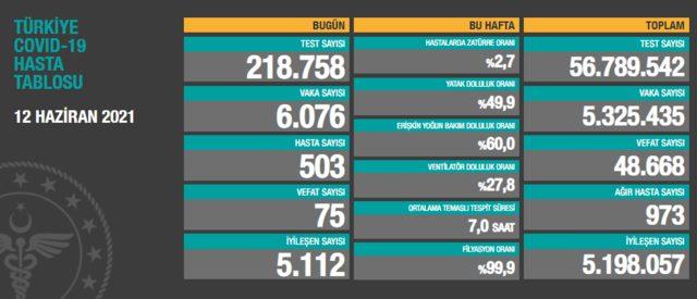 13 Haziran Pazar koronavirüs tablosu açıklandı mı? Günlük vaka sayısı kaç oldu?