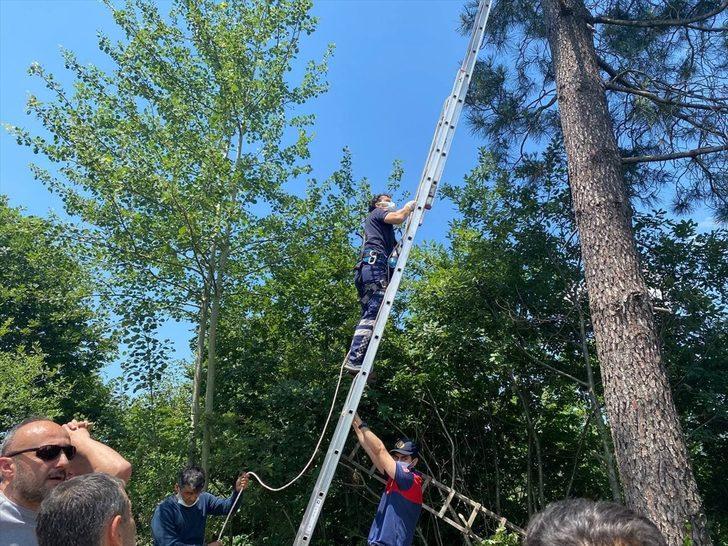 Polislerden yıpranan bayrağı değiştirmek için çıktığı ağaçta rahatsızlanan kişiye "Türk bayrağı" hediyesi G2