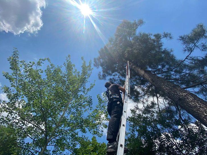 Polislerden yıpranan bayrağı değiştirmek için çıktığı ağaçta rahatsızlanan kişiye "Türk bayrağı" hediyesi G3