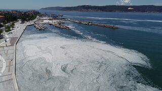 Çanakkale Boğazı’nda deniz salyası yoğunluğu