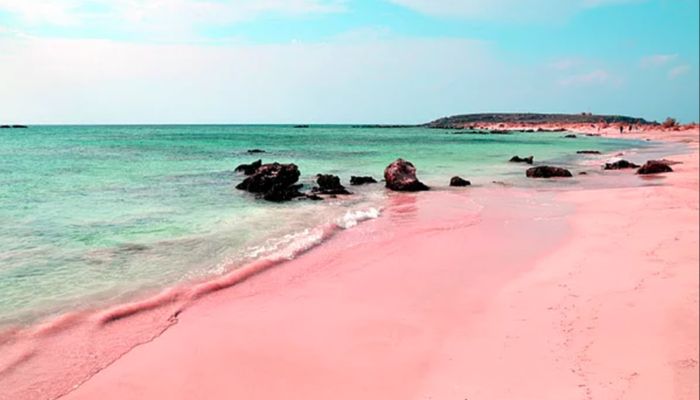 Bahamalar’da inanılmaz bir plaj! Pembe kumlardan oluşan plaj görenleri hayrete düşürüyor