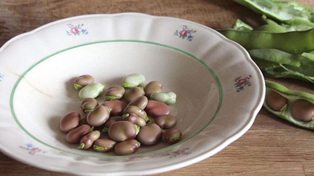 Uzman isim açıkladı: Bakla tüketimi, meme kanserine karşı etkili